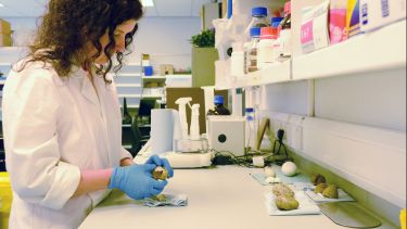 Dr Nicola Hemmings studying a curlew egg shell