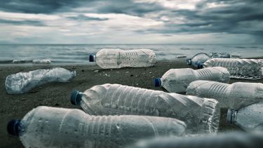 An image of several empty plastic bottles washed up on a beach.