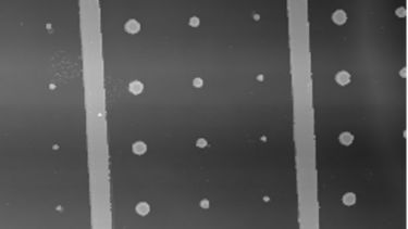 Data from an atomic force microscope