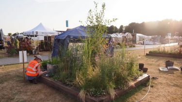 MA Landscape Architecture student Camellia Hayes by her Silver-Gilt winning border