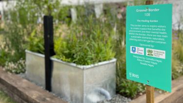 The Healing Garden by Camellia Hayes