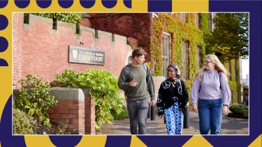 Undergraduates