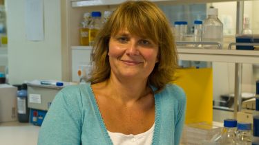 Prof Ilaria Bellantuono in a laboratory