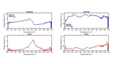 Data from a nano-FTIR experiment