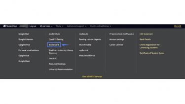 A screenshot of the "My Services" tab in the Student Hub, directing to "Blackboard".