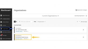 A screenshot directing the user to click on "Organisations" and then "International Student Success".