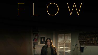 Heading 'Flow' with image of concerned looking person