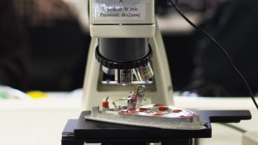 A microscope examines the inner electrical workings of an iron.