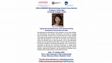 INSIGNEO Seminar Yanlan Mao flyer 