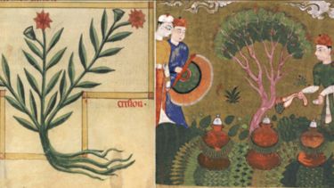 Image to promote the decoding recipes workshop