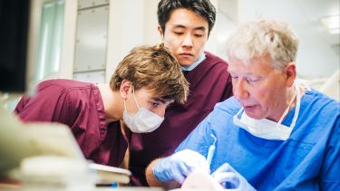 Two students being taught dentistry