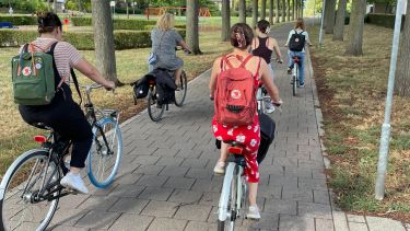 You see 5 people on bikes cycling on a cycle path in the Netherlands. You see their backs as they cycle away from the viewer