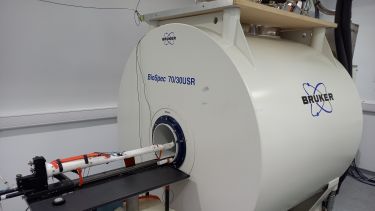 7T Bruker MRI scanner