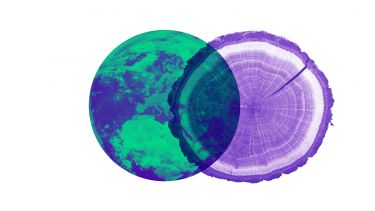 A photo of COP27 logo