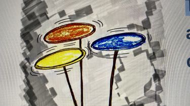 spinning plate