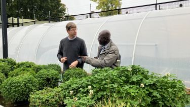 Prof Asante outside on visit to Sheffield
