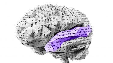 Brain made from paper with words written on it