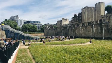 Nigel was honoured for his work transforming urban greening; including this summer’s celebrated Superbloom