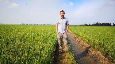 Dr Robert Caine in a rice field in Vietnam