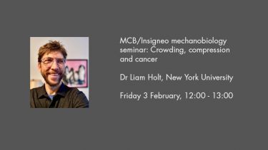 MCB/Insigneo mechanobiology seminar: Crowding, compression and cancer Dr Liam Holt, New York University Friday 3 February, 12:00 - 13:00
