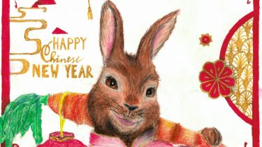 CI- Rabbit
