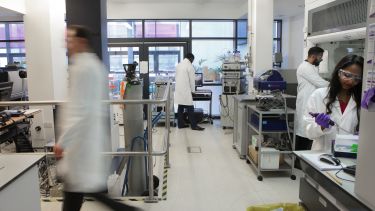 People in a lab in the Sir Robert Hadfield Building