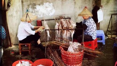 The daily grind - Ava Rangolam