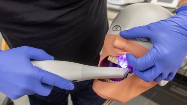 Intra-oral scanning of a mannequin