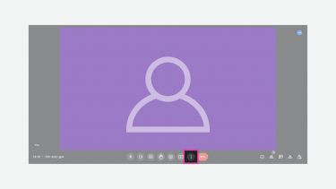 An image displaying the Google Meet call screen