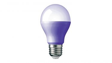 An energy efficient lightbulb.