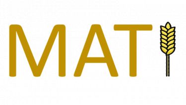 Mati logo in dark yellow text featuring an ear of corn as the last letter of Mati