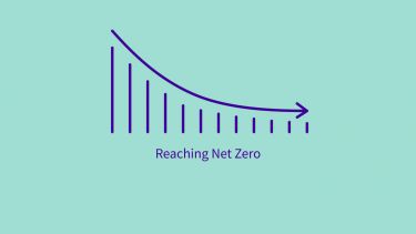 a graphic representing net zero