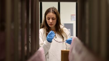 A history student handling an object in a heritage collections workshop.