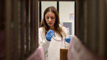 An image of a history student examining the Heritage Collections