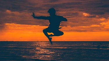Image of a man performing a martial arts pose against a sunset