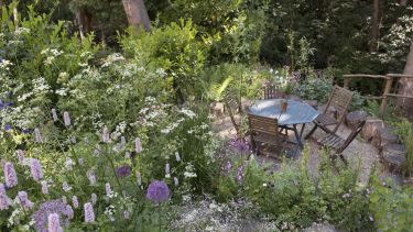 An image of Will Teare's garden featuring flowers and plants lining a hillside leading down to a table and chairs for relaxing.