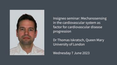 Insigneo seminar graphic: Mechanosensing in the cardiovascular system as factor for cardiovascular disease progression  Dr Thomas Iskratsch, Queen Mary University of London  Wednesday 7 June 2023