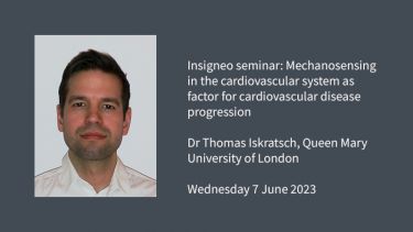 Insigneo seminar graphic: Mechanosensing in the cardiovascular system as factor for cardiovascular disease progression Dr Thomas Iskratsch, Queen Mary University of London Wednesday 7 June 2023