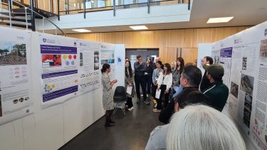 Research posters