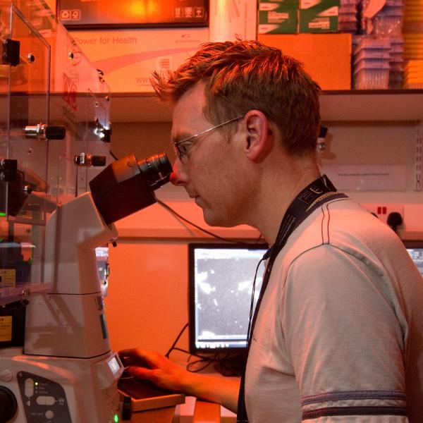 asiatisk Diverse fravær Dr Nick van Hateren | Wolfson Light Microscopy Facility | The University of  Sheffield
