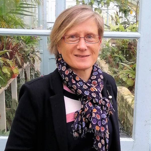 Profile picture of Professor Julie Gray
