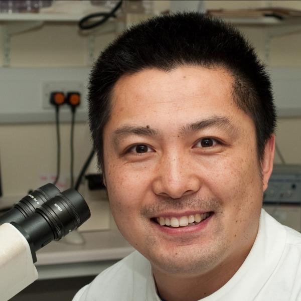 Profile picture of Dr Ning Wang