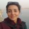 PhD researcher