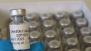 The ChAdOx1 nCoV-19 vaccine (image courtesy of Sean Elias, the Jenner Institute, the University of Oxford)