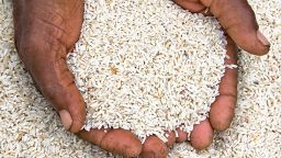 Two hands holding rice.