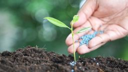 seed and planting concept with Male hand watering young tree over green background