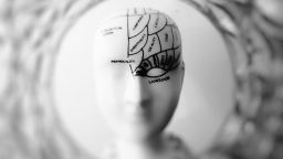 An archaic pottery Phrenology bust displaying the area of the brain 
