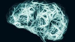 Graphic of human brain