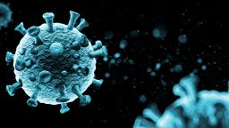 Cancer cells
