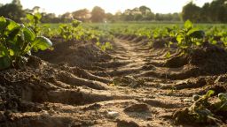 Soil 